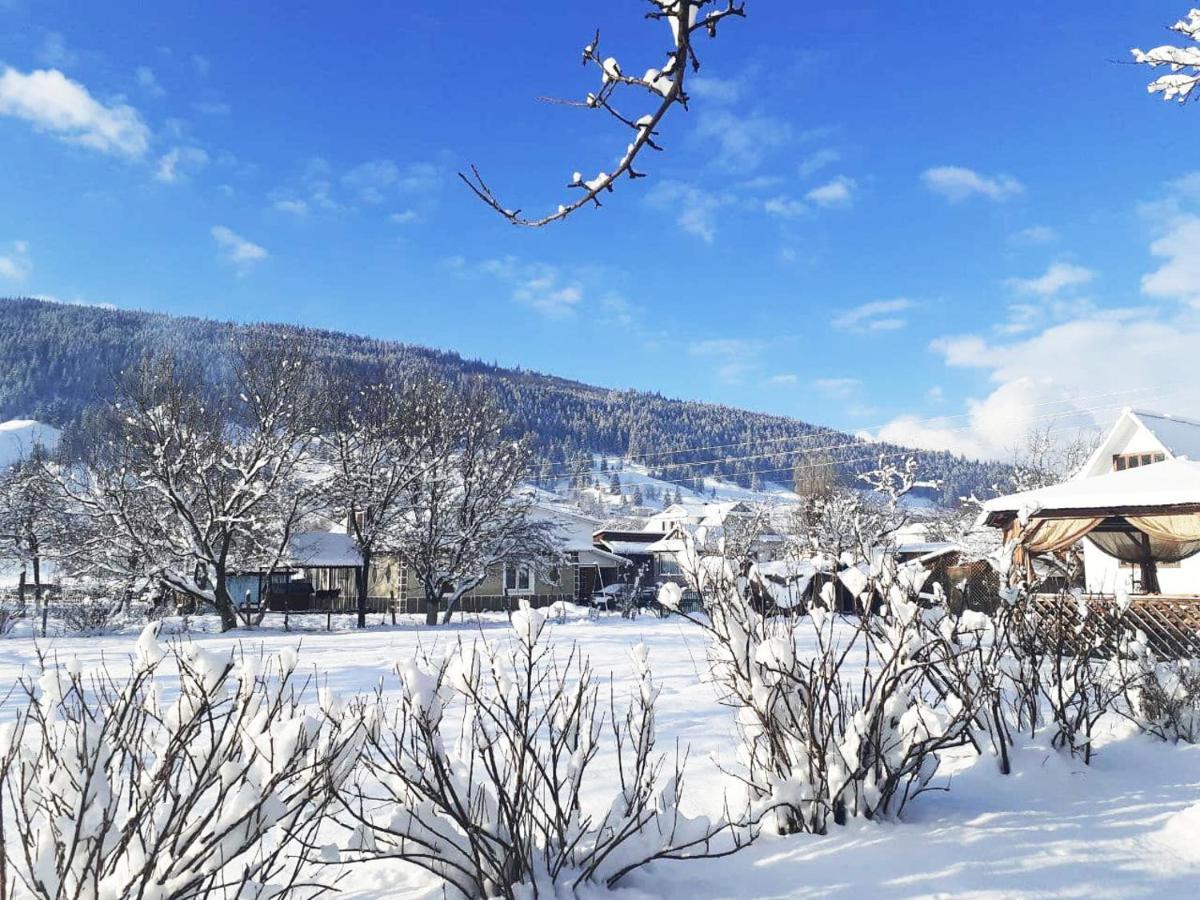 Lavanda Cottage Verkhovyna Luaran gambar